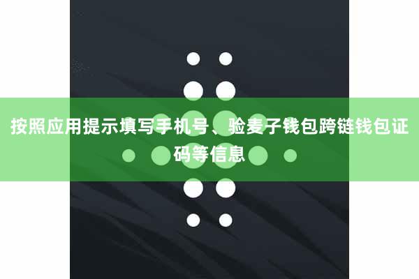 按照应用提示填写手机号、验麦子钱包跨链钱包证码等信息