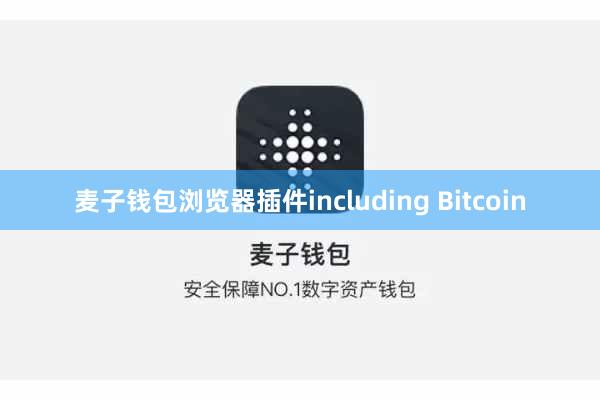 麦子钱包浏览器插件including Bitcoin