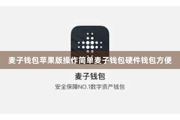 麦子钱包苹果版操作简单麦子钱包硬件钱包方便