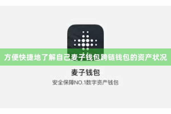 方便快捷地了解自己麦子钱包跨链钱包的资产状况