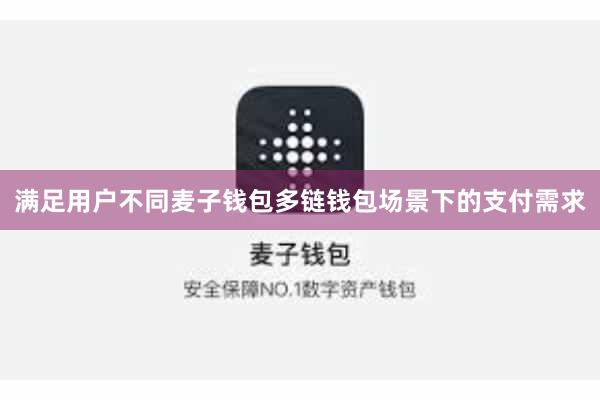 满足用户不同麦子钱包多链钱包场景下的支付需求