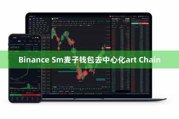 Binance Sm麦子钱包去中心化art Chain