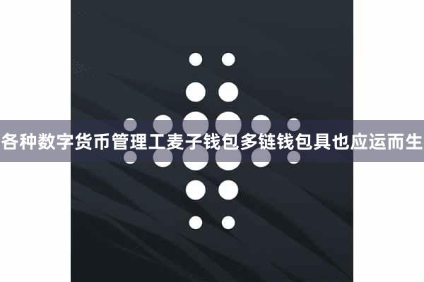 各种数字货币管理工麦子钱包多链钱包具也应运而生