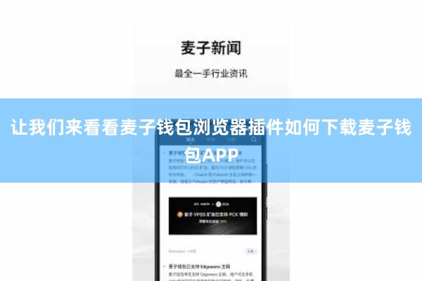 让我们来看看麦子钱包浏览器插件如何下载麦子钱包APP