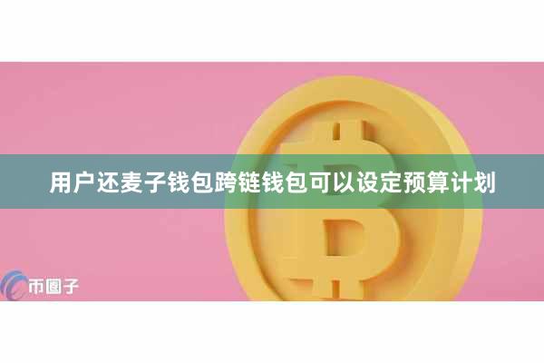 用户还麦子钱包跨链钱包可以设定预算计划