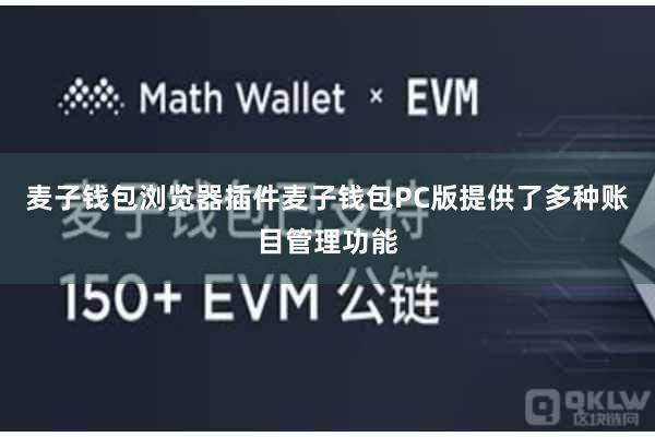 麦子钱包浏览器插件麦子钱包PC版提供了多种账目管理功能