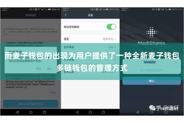 而麦子钱包的出现为用户提供了一种全新麦子钱包多链钱包的管理方式
