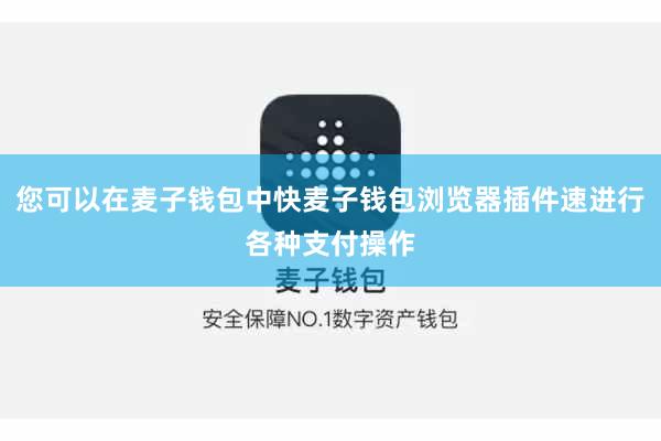 您可以在麦子钱包中快麦子钱包浏览器插件速进行各种支付操作