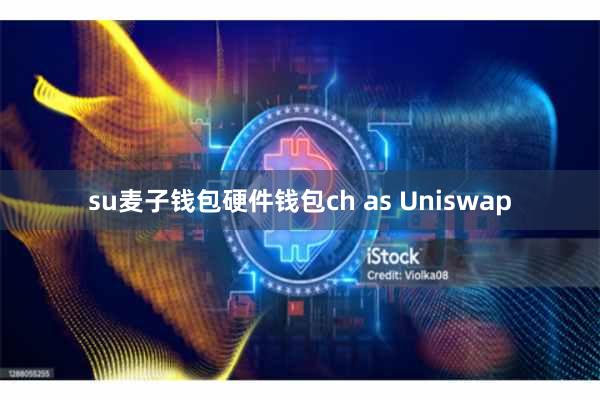 su麦子钱包硬件钱包ch as Uniswap