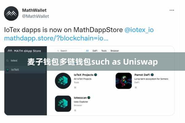 麦子钱包多链钱包such as Uniswap