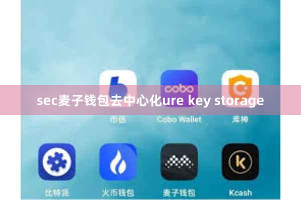 sec麦子钱包去中心化ure key storage