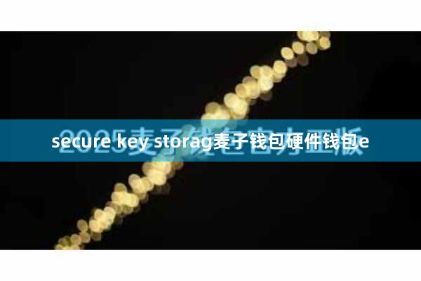 secure key storag麦子钱包硬件钱包e