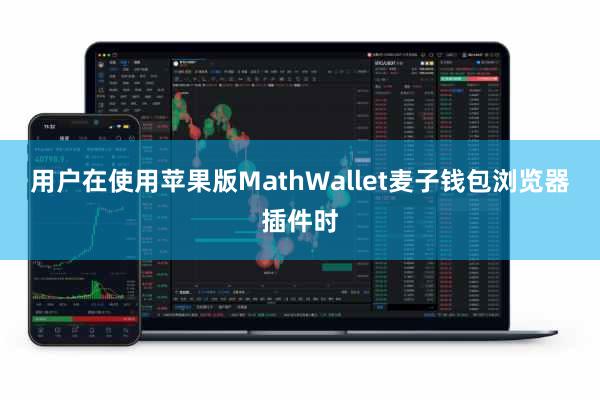 用户在使用苹果版MathWallet麦子钱包浏览器插件时