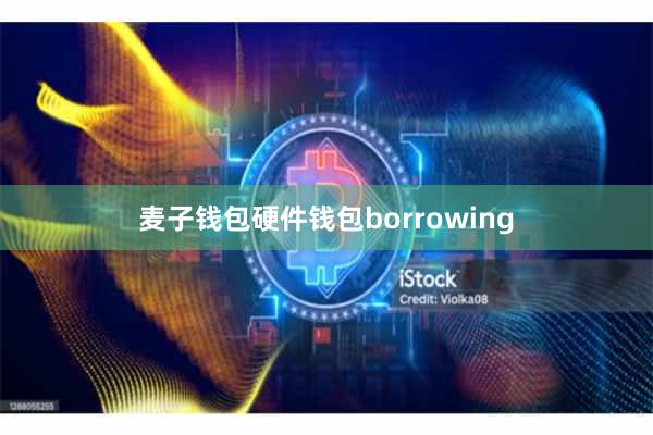 麦子钱包硬件钱包borrowing