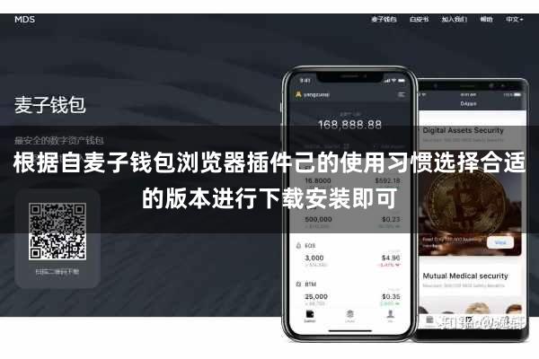 根据自麦子钱包浏览器插件己的使用习惯选择合适的版本进行下载安装即可