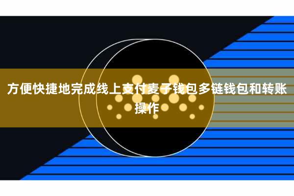 方便快捷地完成线上支付麦子钱包多链钱包和转账操作