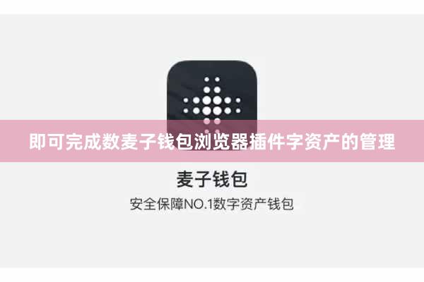 即可完成数麦子钱包浏览器插件字资产的管理