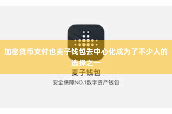 加密货币支付也麦子钱包去中心化成为了不少人的选择之一