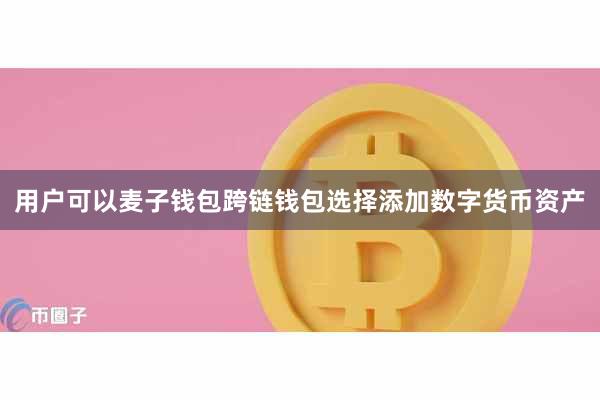 用户可以麦子钱包跨链钱包选择添加数字货币资产
