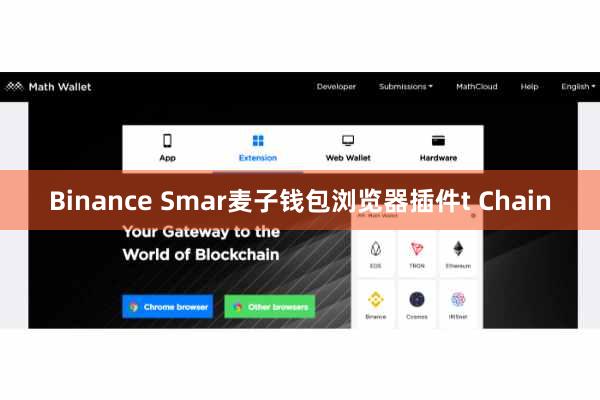 Binance Smar麦子钱包浏览器插件t Chain