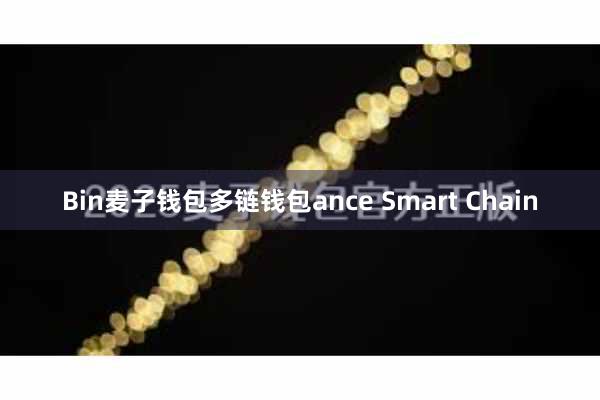 Bin麦子钱包多链钱包ance Smart Chain